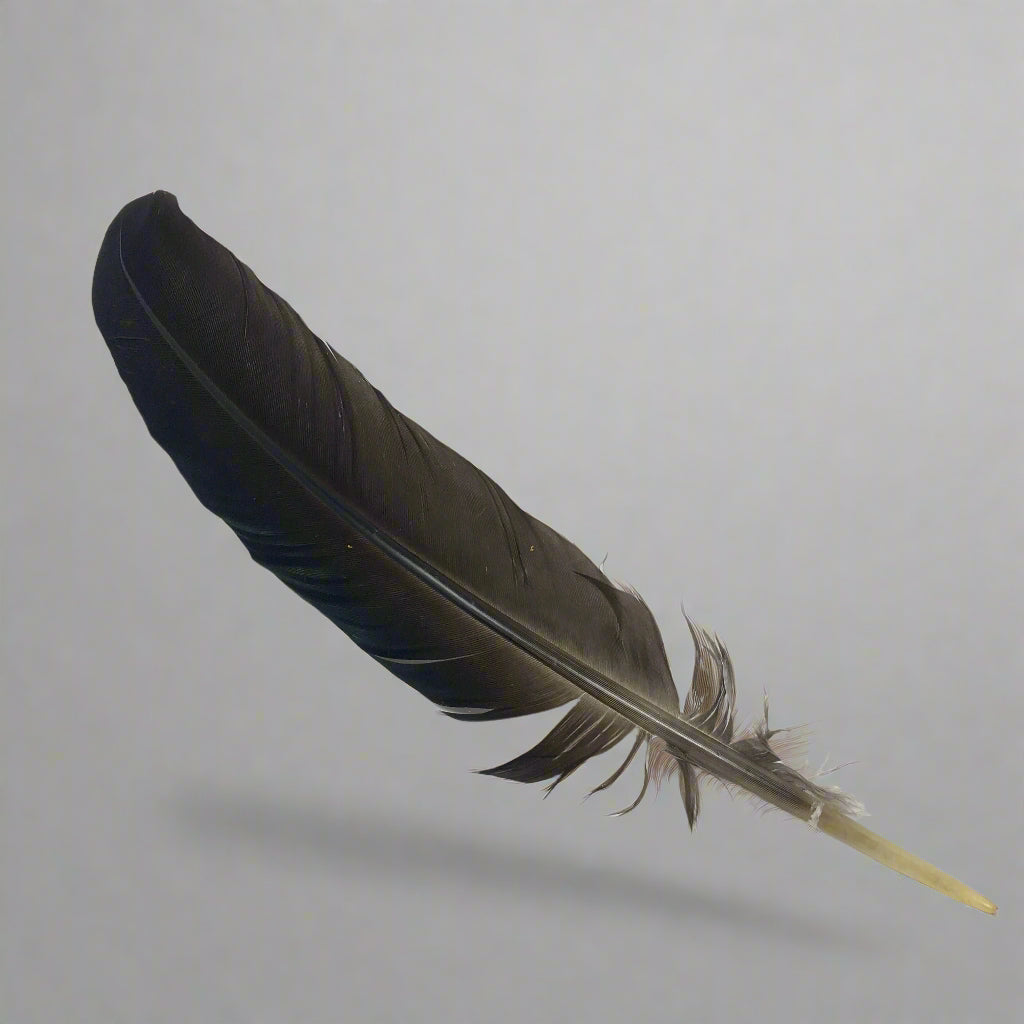 Peacock Wing Spike Feather